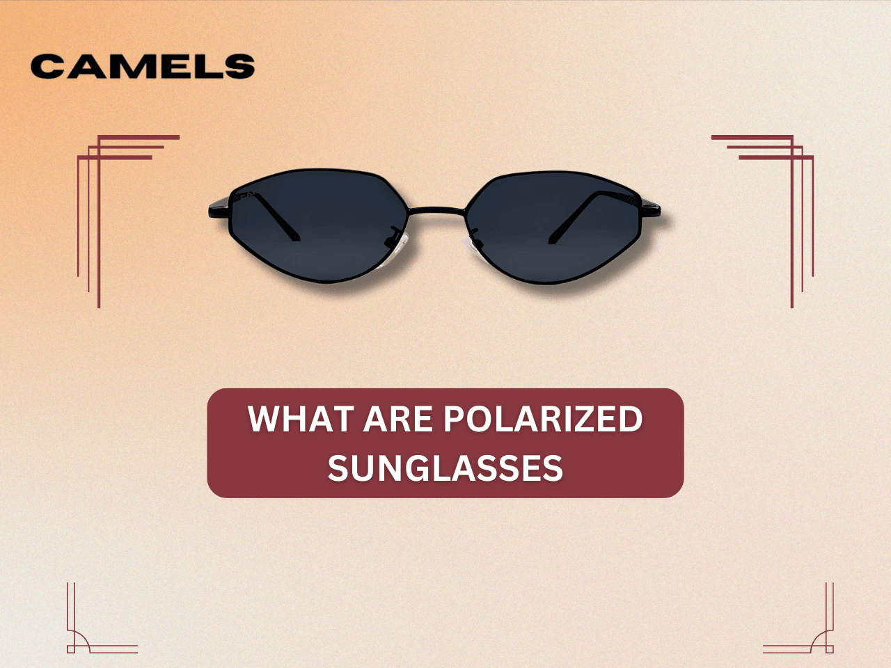 What are polarized sunglasses